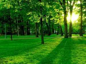 Green Commitment