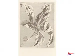 Wp-5263-94-72