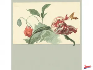 Wp-5264-74-72