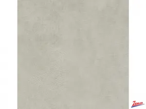 Wp-1564-31-72