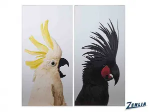 Bird 30