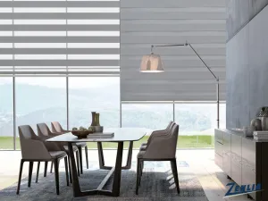 Zebra Blinds